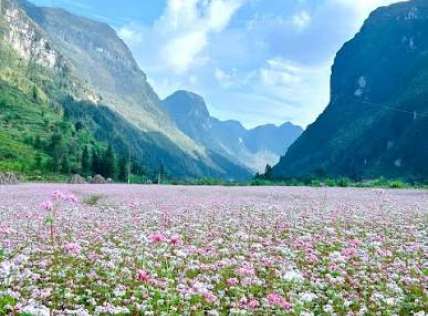 Hà Giang mùa nào đẹp? Gợi ý theo từng thời điểm trong năm